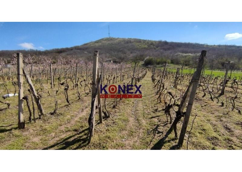 NA PREDAJ – Vinica – Malý Kamenec