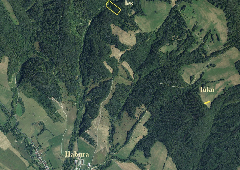 ID-4105 NA PREDAJ LESNÝ pozemok a TTP v k. ú. HABURA