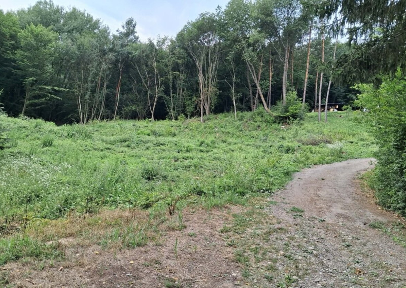 ID-4409 Rekreačný pozemok na výstavbu chát – DOMAŠA – DOBRÁ