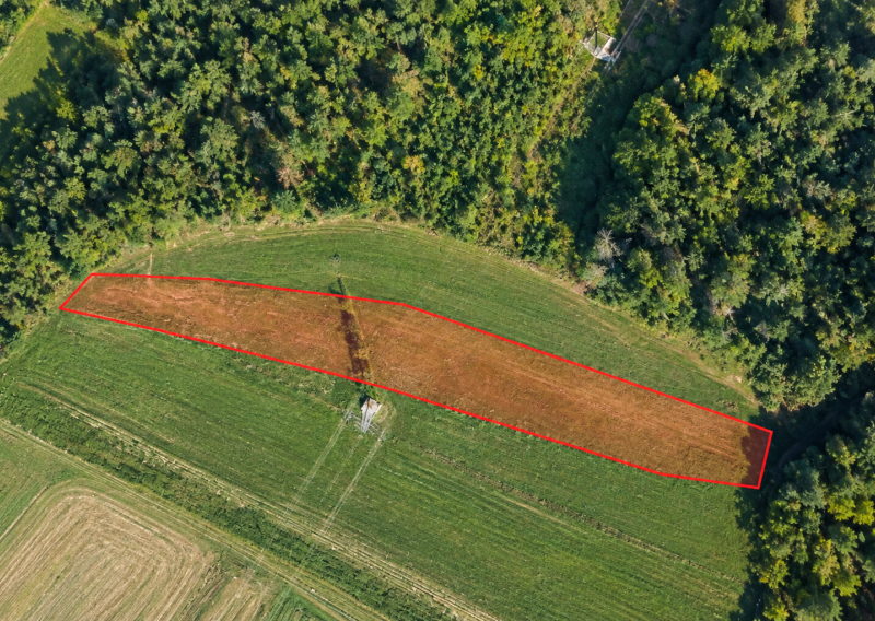 ID-4976 NA PREDAJ Orná pôda - Bardejov - Mihaľov