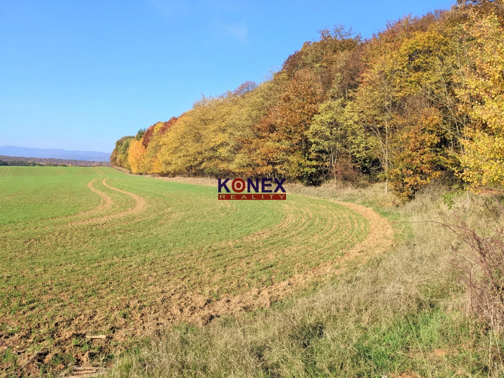 NA PREDAJ! Jesenné pozemky v okrese Poltár