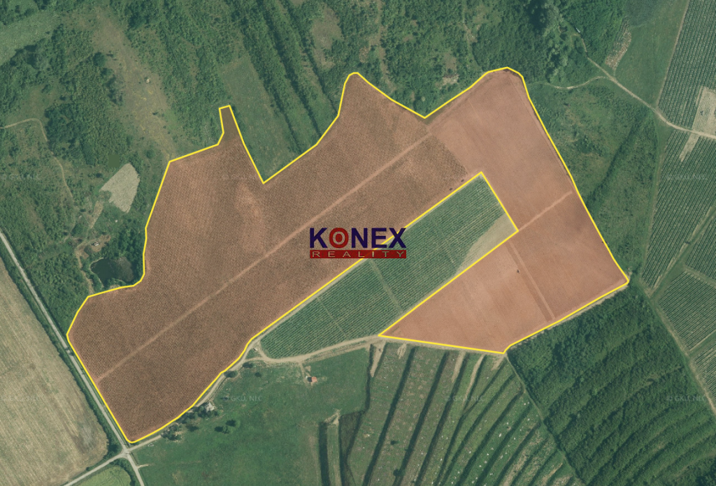 Jedinečná investícia! KRÁSNY VINOHRAD VO VINOHRADNÍCKEJ OBLASTI TOKAJ foto