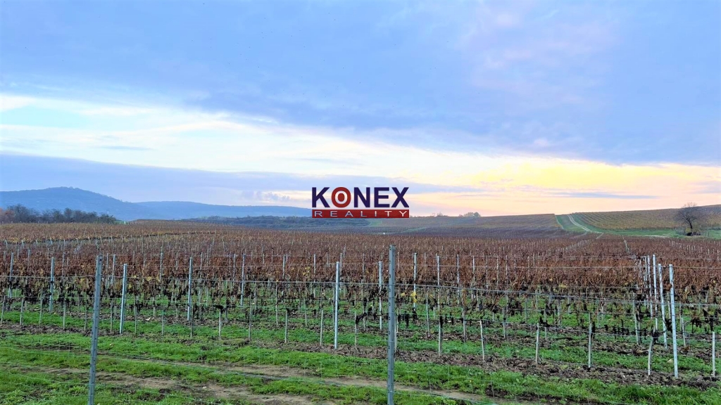 Jedinečná investícia! KRÁSNY VINOHRAD VO VINOHRADNÍCKEJ OBLASTI TOKAJ foto