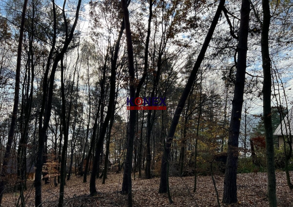 NA PREDAJ! Pozemok na Domaši, Nová Kelča foto