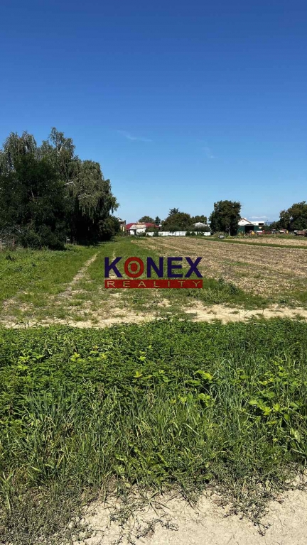 Pozemok na predaj – Michalovce, Močarany foto