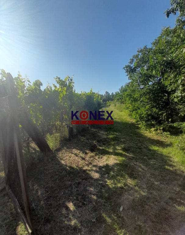 Vinica s vínnym domčekom pri Kráľovskom Chlmci! foto